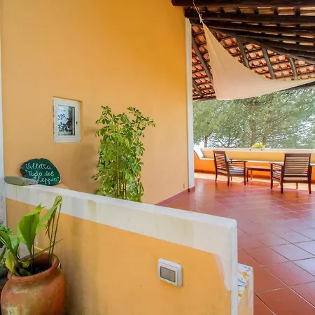 Nido Del Gheppio *